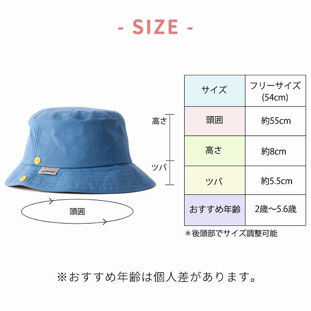 サイズ