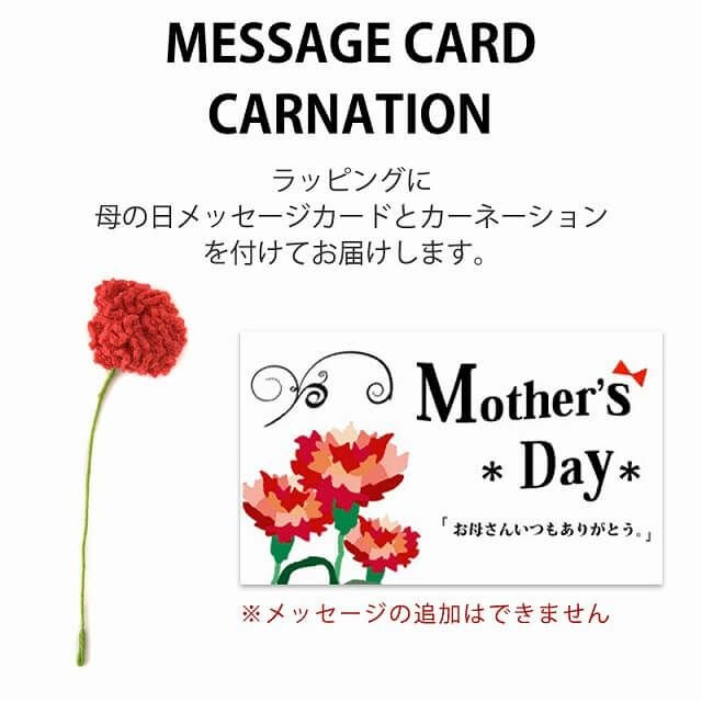 母の日ギフトラッピング (カーネーション付き)