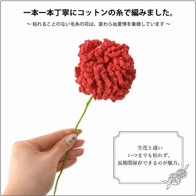 母の日ギフトラッピング (カーネーション付き)