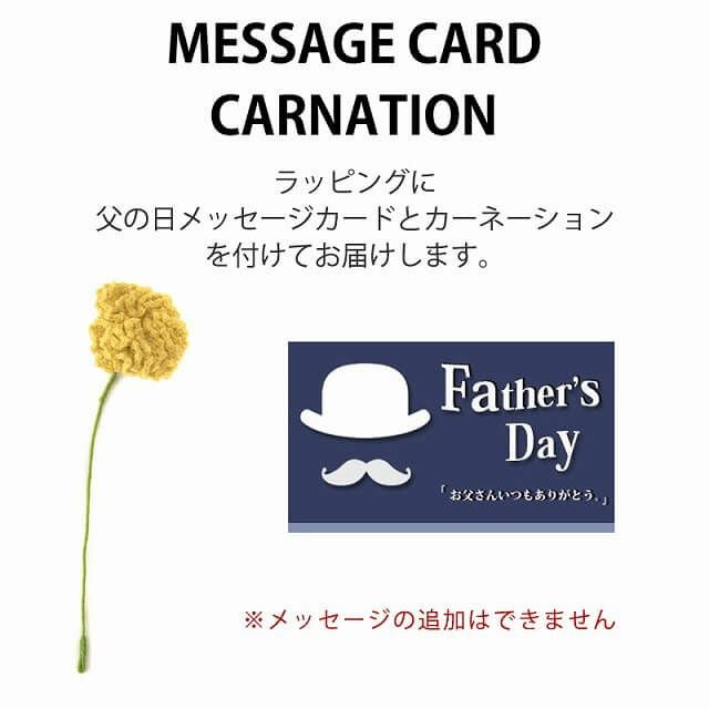 父の日ギフトラッピング (カーネーション付き)