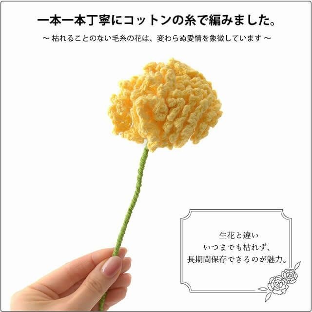 父の日ギフトラッピング (カーネーション付き)